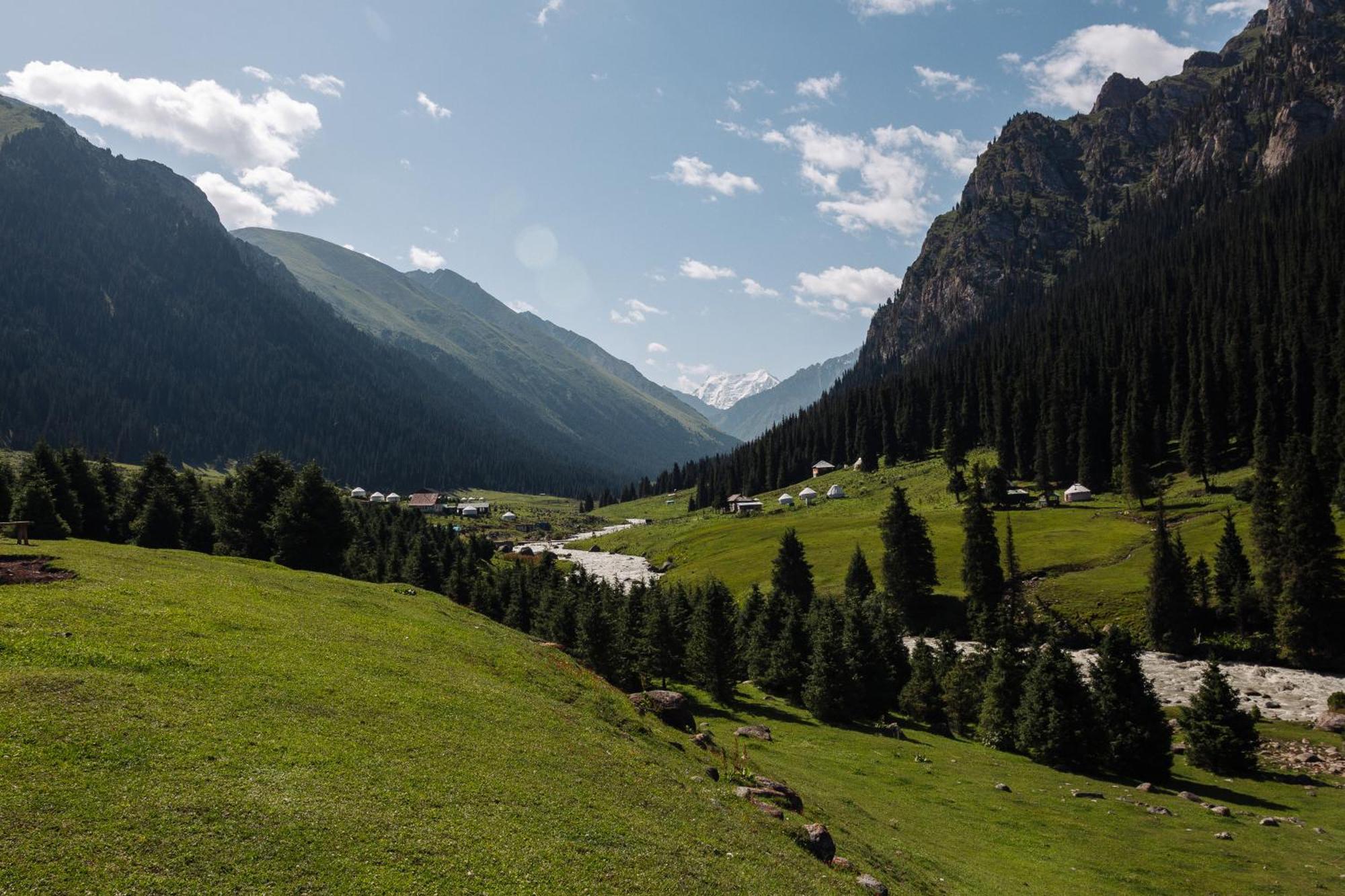 Eco Yurt Camp Arashan 호텔 Teploklyuchenka 외부 사진